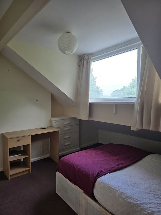 Hanifa's room