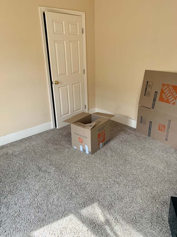 Cat's room
