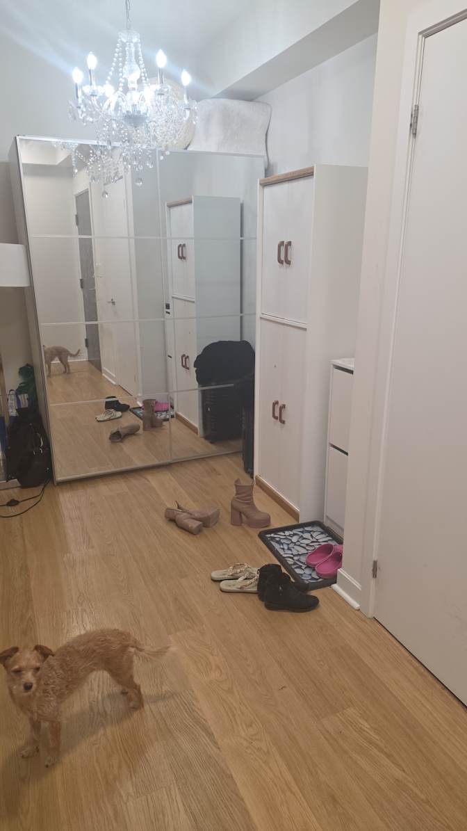 Rachita's room