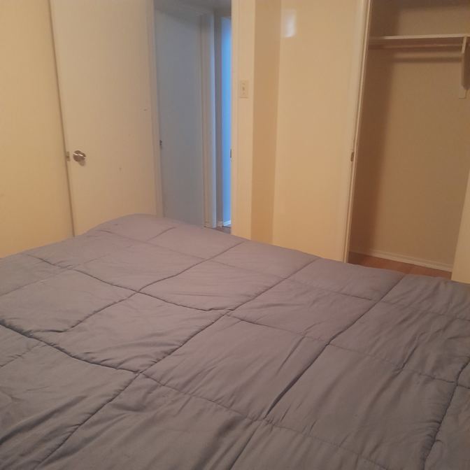 Gizzmo's room