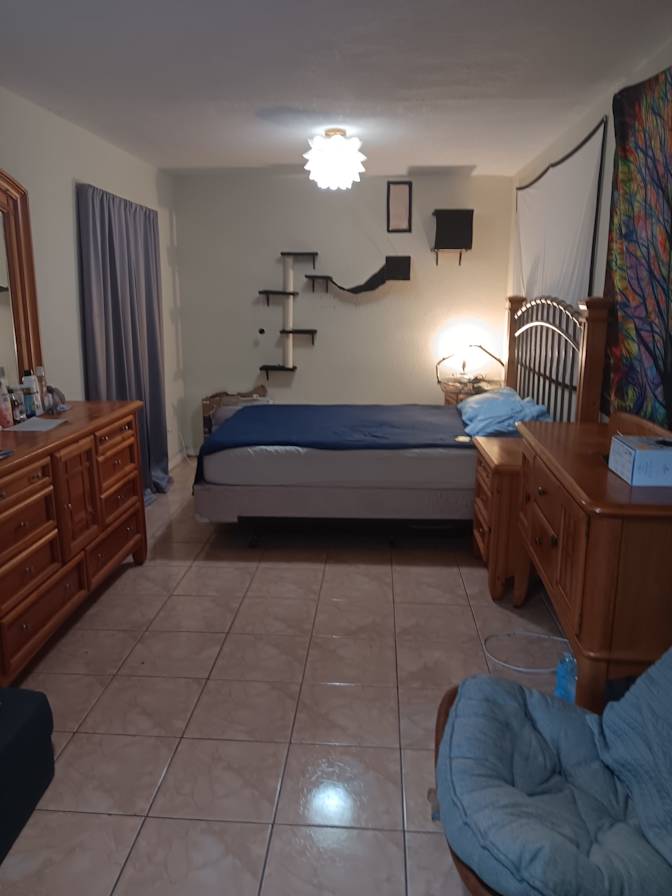 Carmel james's room