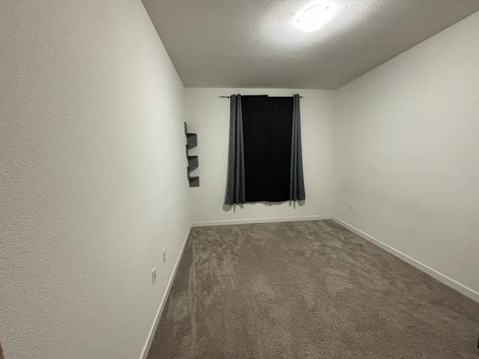 Shaun campos's room