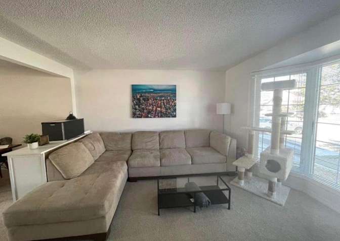 Andrew Finch's room