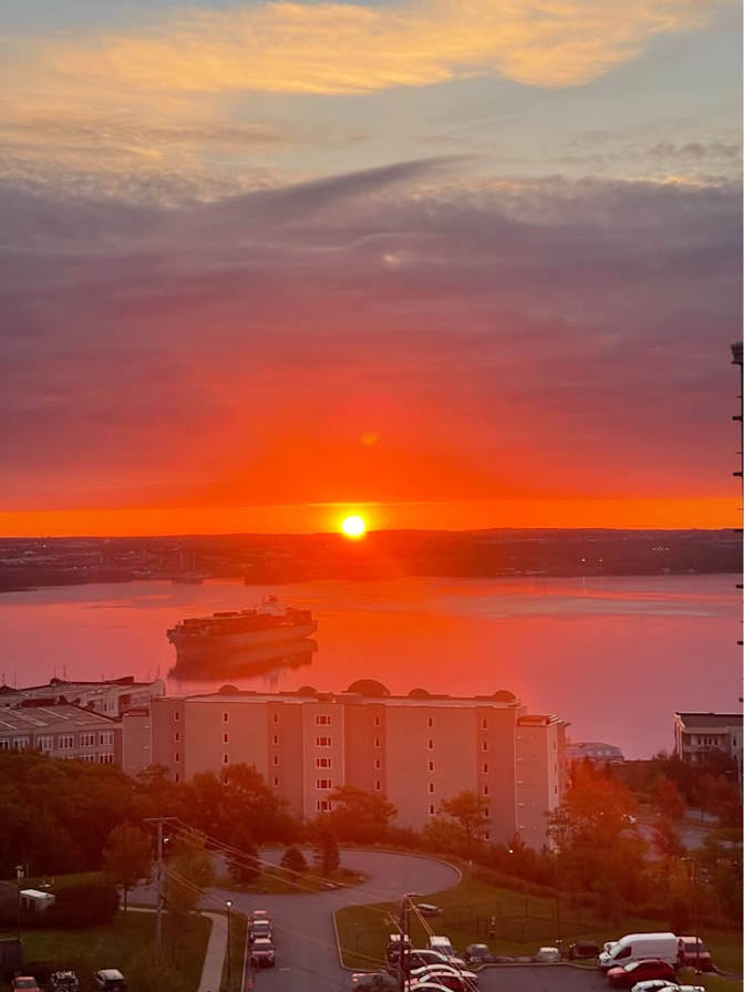 Terry Mary Howatt's room