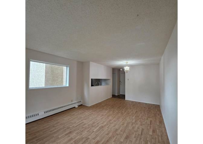 Todd's room