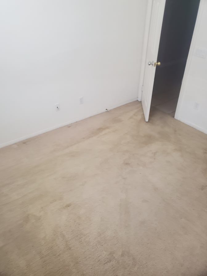 Maria's room