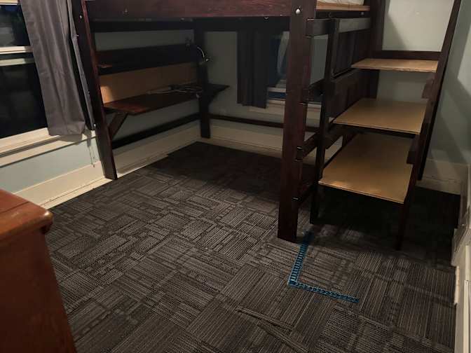 Cat's room