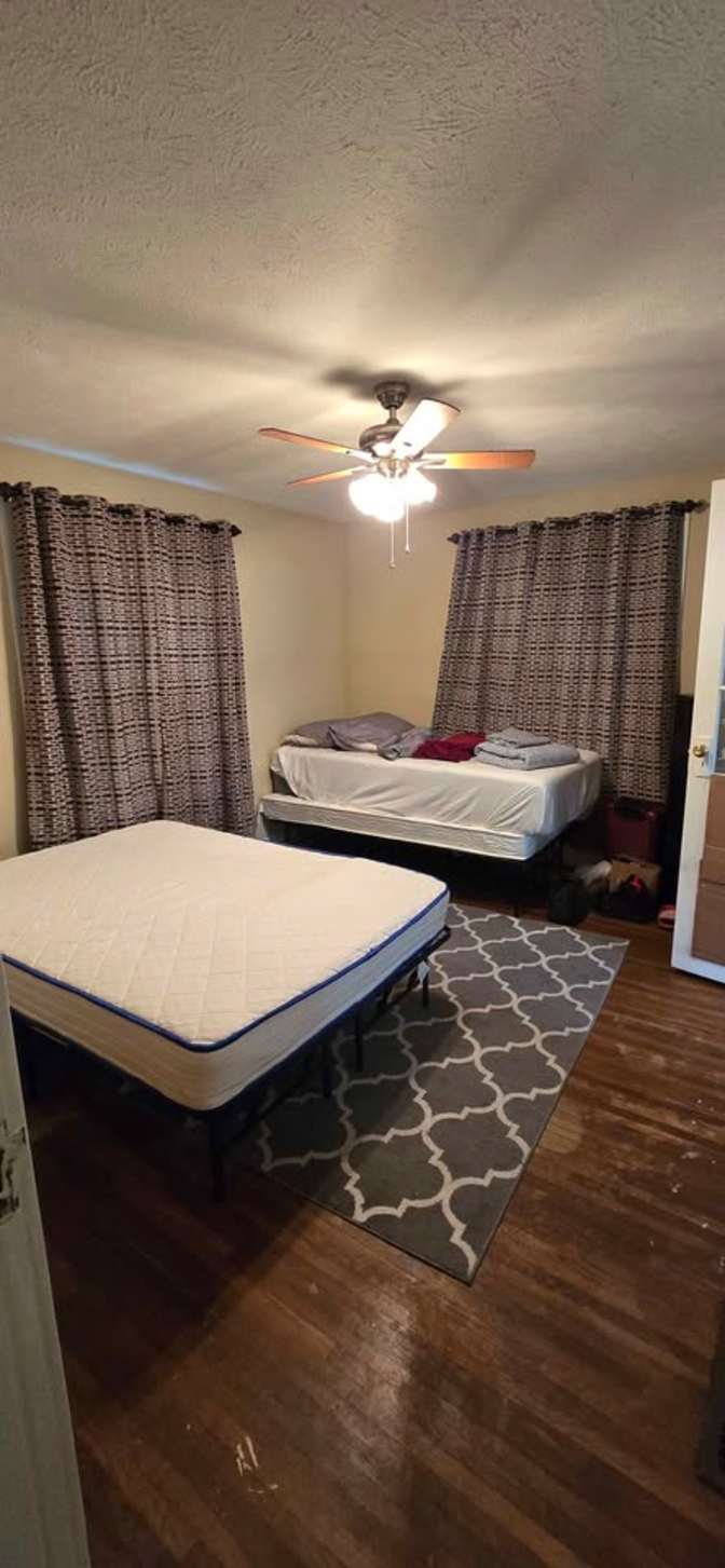 darwin's room
