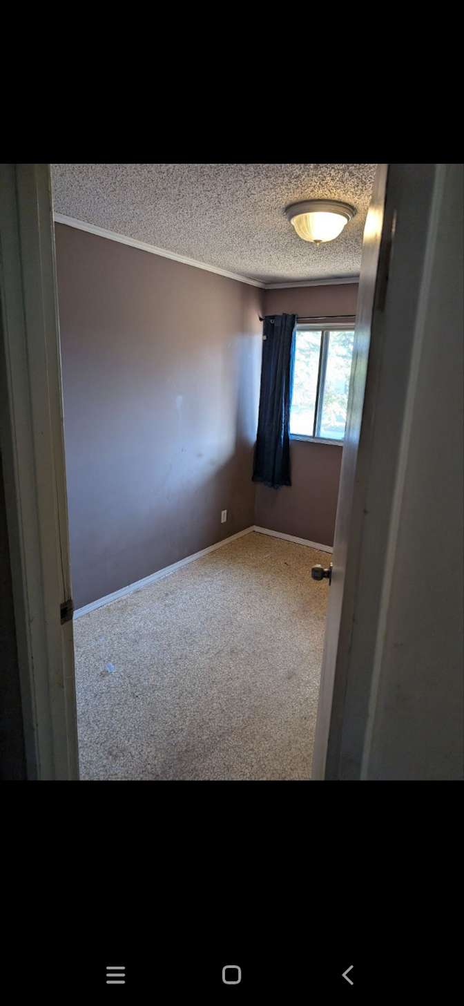 Dan's room
