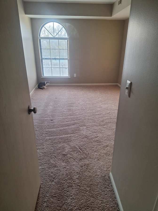 Sarah K Scarberry's room