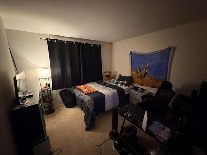 Cameron's room