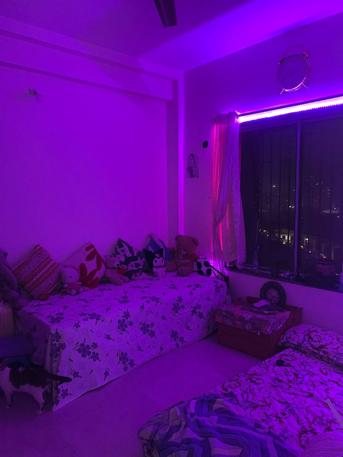 Kubra's room