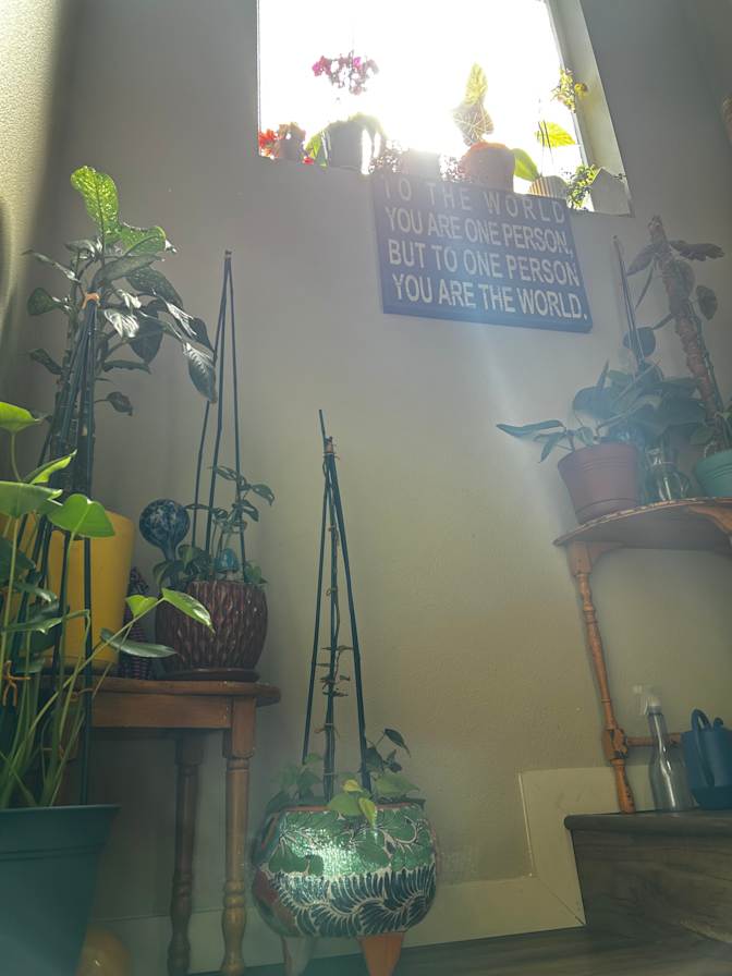 Madeline's room