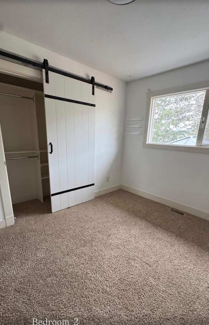 Shay's room