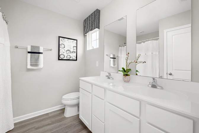 Alcove Rooms's room