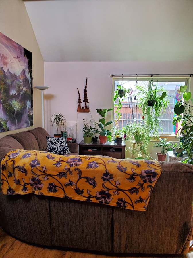 Cindi's room