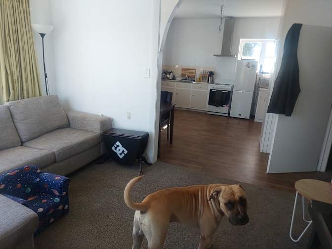 Daniel's room