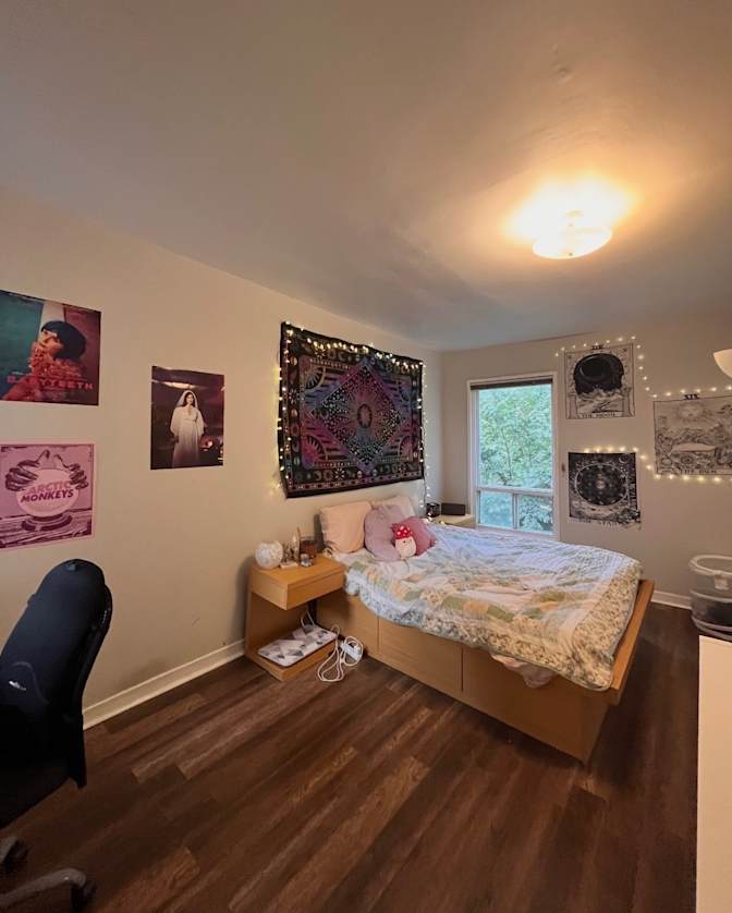 Gracie's room