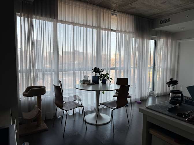 Parnian Akhtari's room