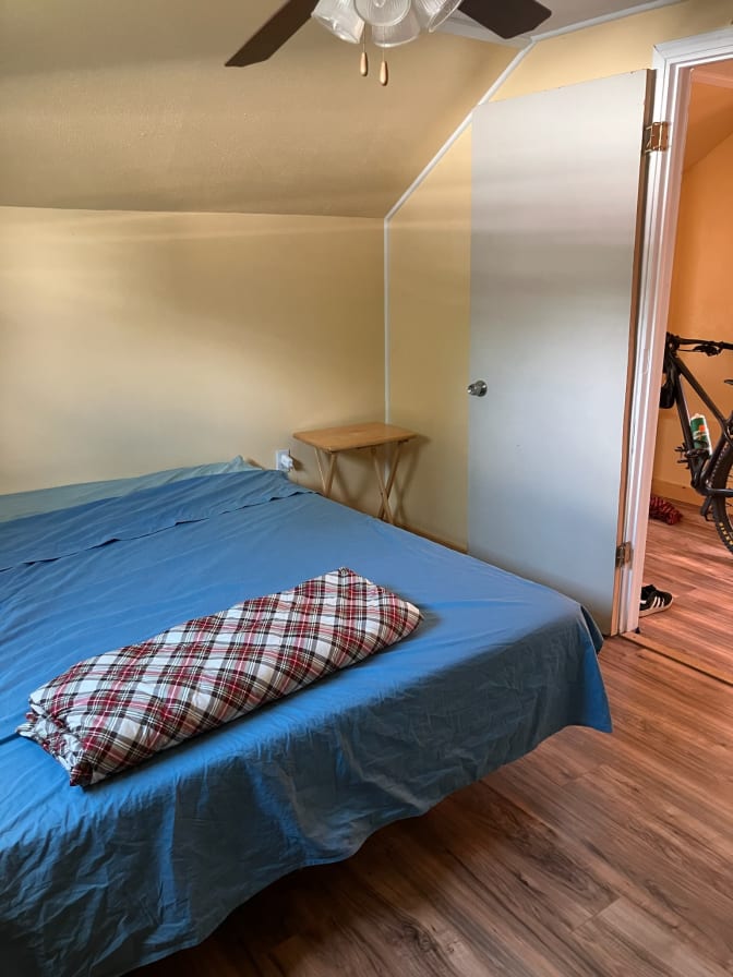 Shane's room