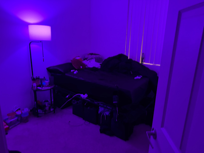 Liliana's room