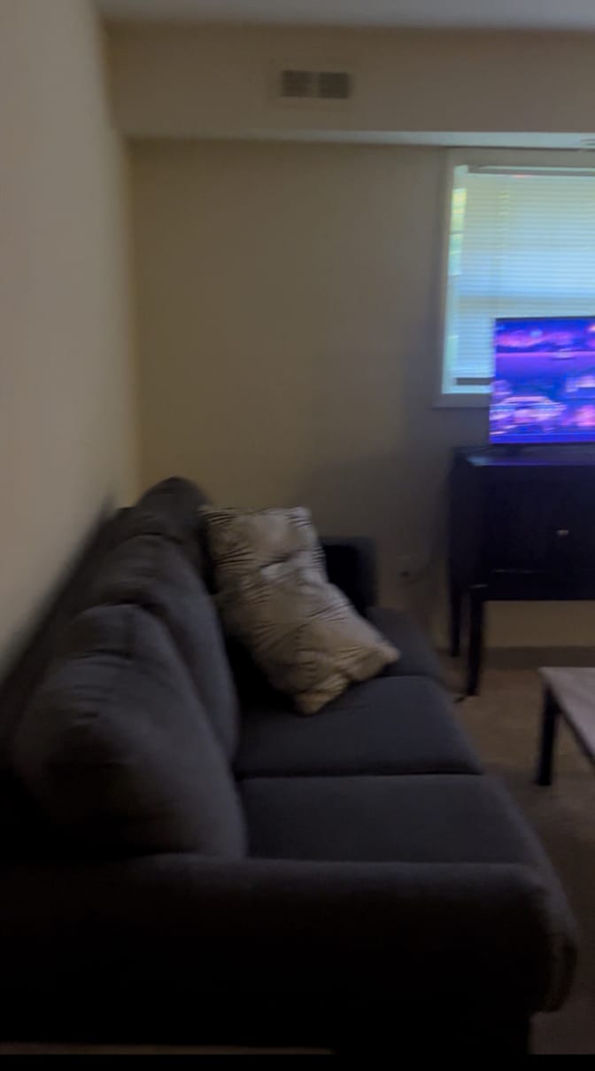 Wood Properties's room
