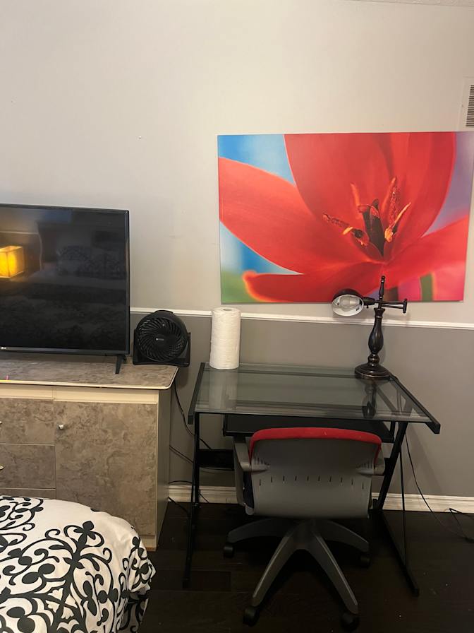 Gina's room