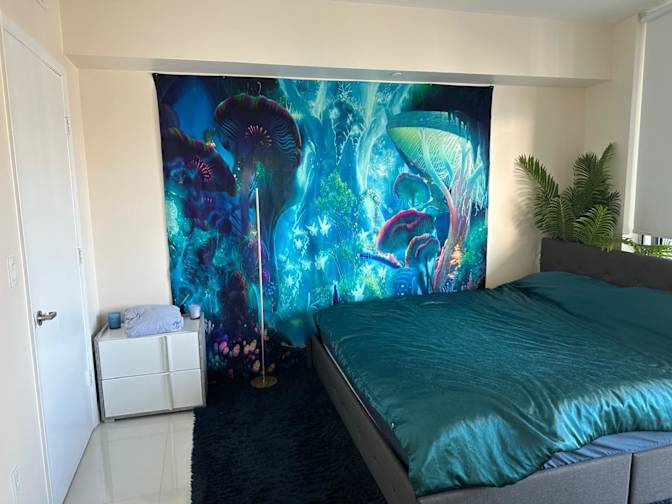 Alex's room