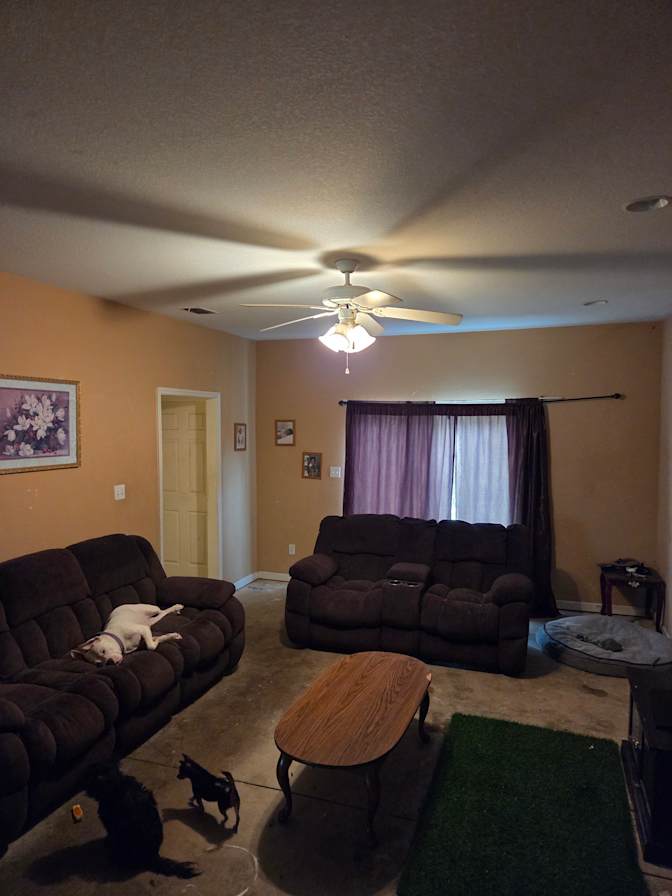 Rich's room
