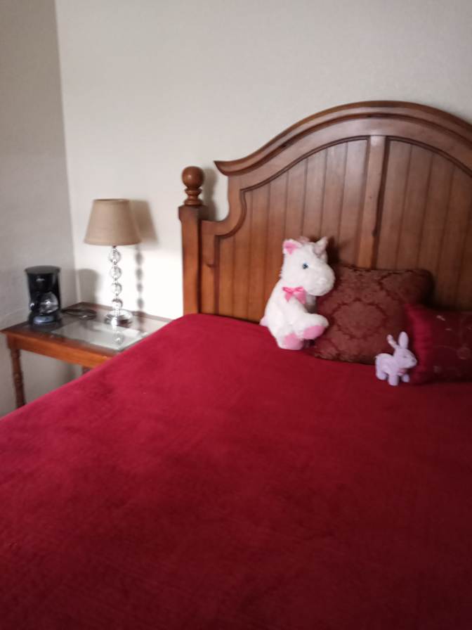 Mary's room