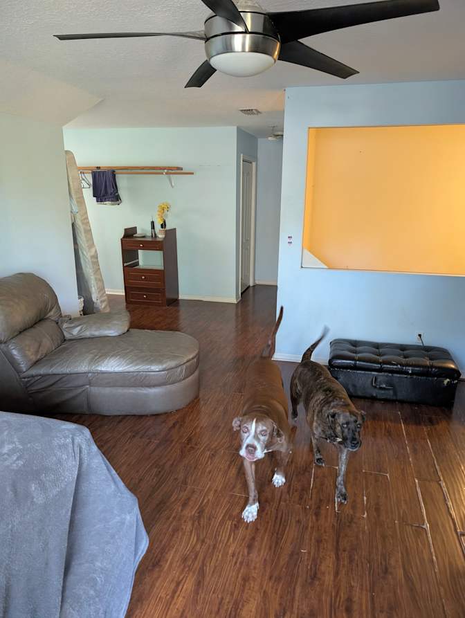 Jack and Jill's room
