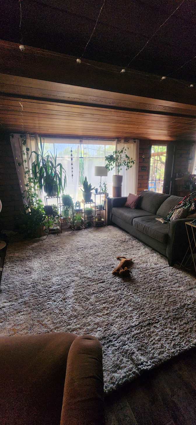 Liz Morgan's room