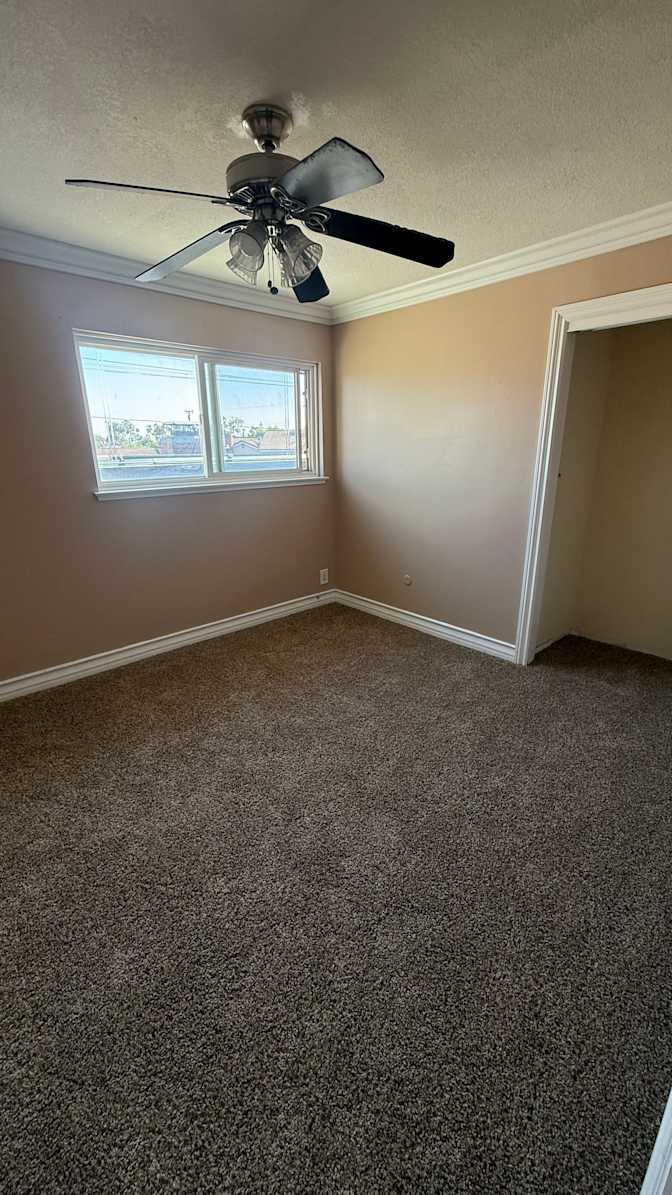 Allex Zieg's room