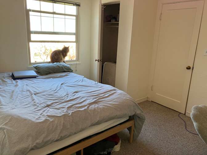 Misha's room