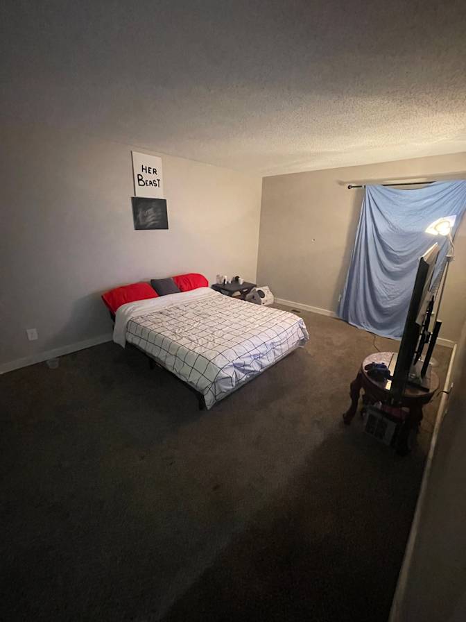Shay's room