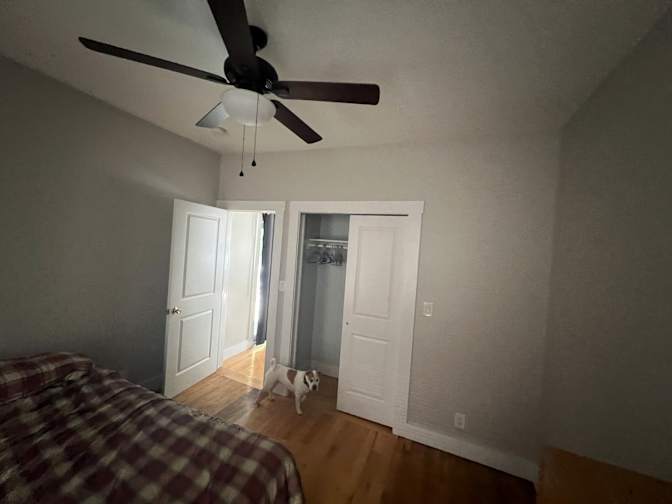 Matt's room