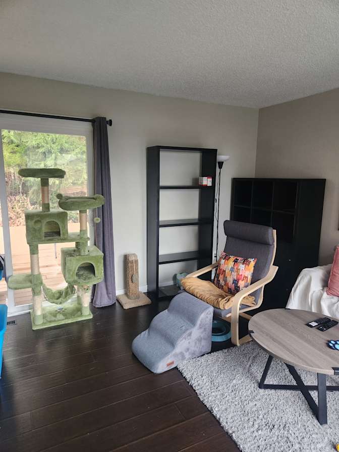 Jeff's room