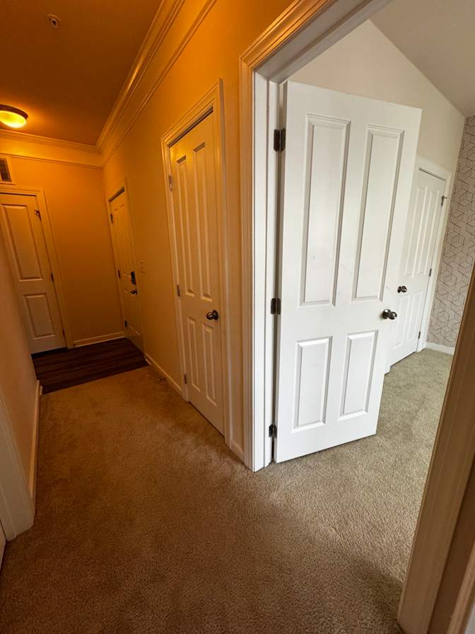Veronica's room