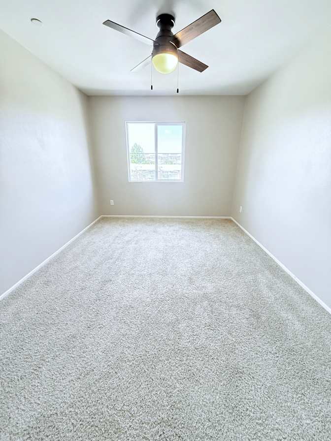 Javier's room