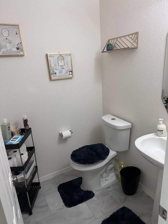Swanknest Life Solutions LLC's room