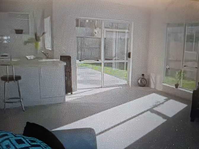Jacqueline's room