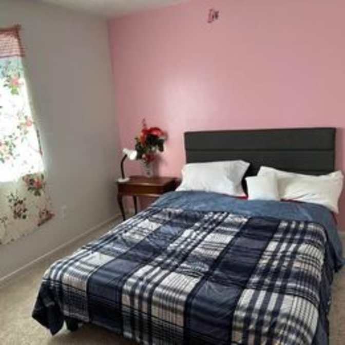 Ali H's room