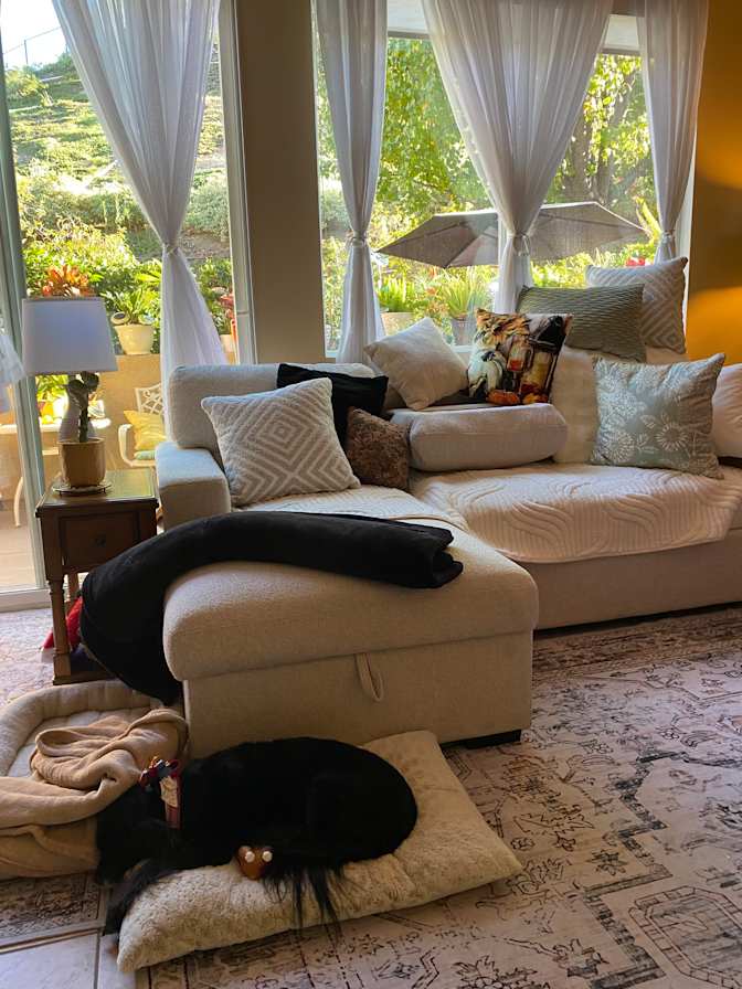 Kelly's room