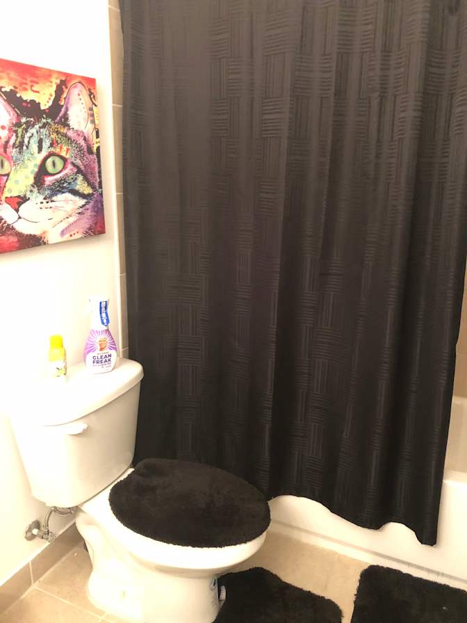 Cecilia's room