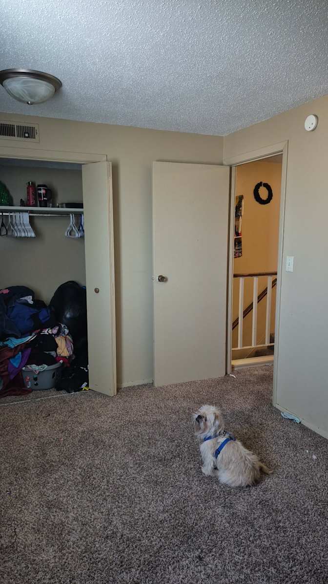 Monte Muggins's room