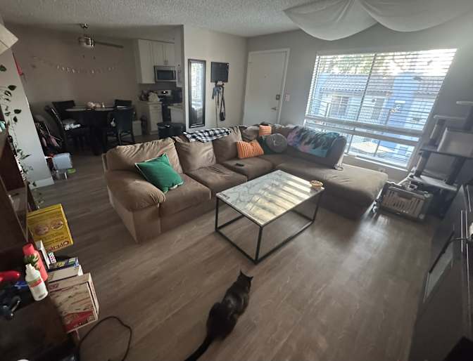 Christina's room