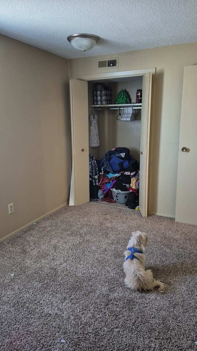 Monte Muggins's room