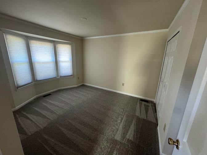 Matt Dion's room