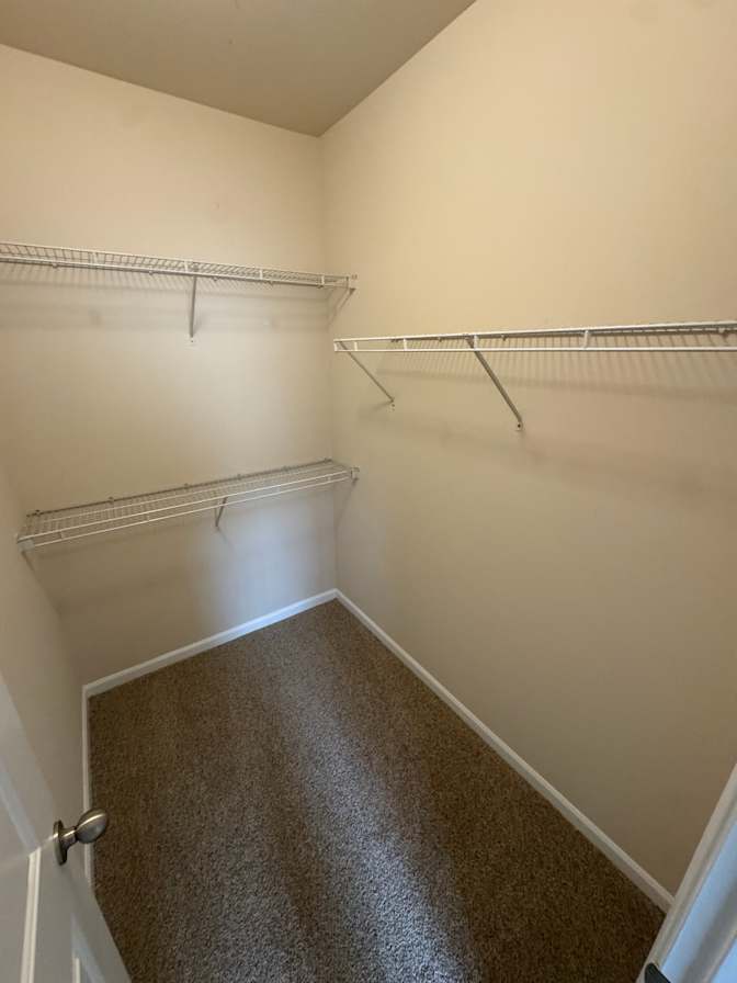 Trinity's room