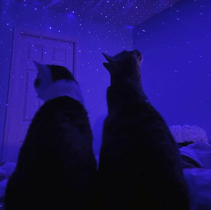 Joel's room